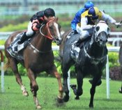 Rising Empire<br>Photo by Singapore Turf Club